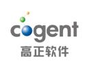 高正软件
