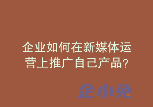 企业如何在新媒体运营上推广自己产品？
